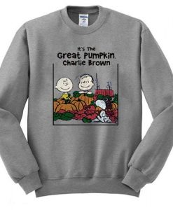 Charlie Brown Sweatshirt AZ25N